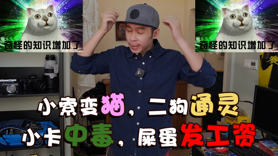 【家里蹲着说话不腰疼】小索变猫,二狗通灵,小卡中毒,屎蛋发工资